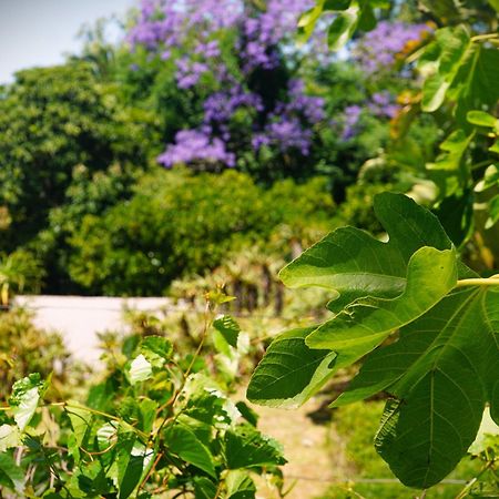 Swellendam Country Lodge - Guest House - B&B Buitenkant foto