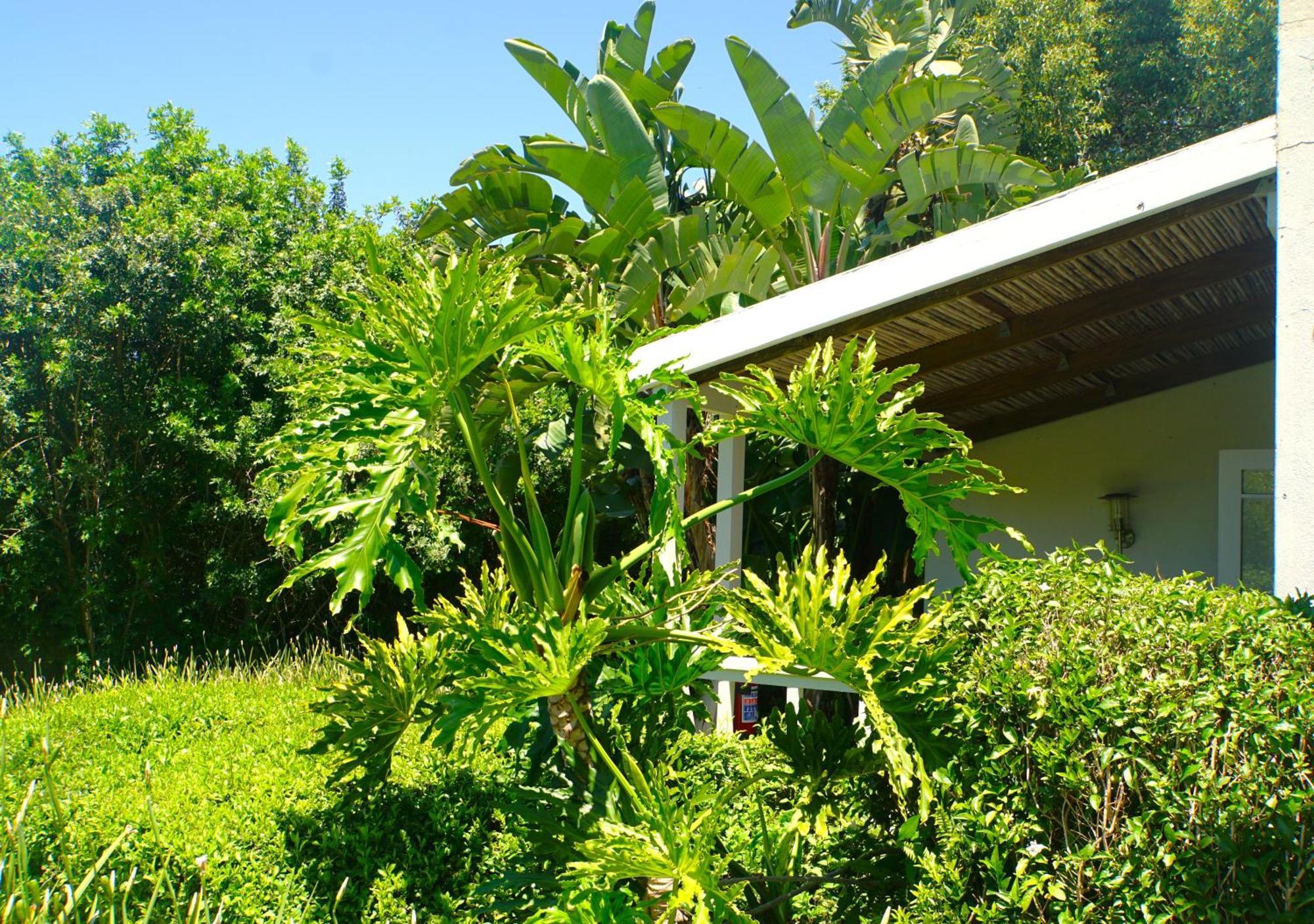 Swellendam Country Lodge - Guest House - B&B Buitenkant foto